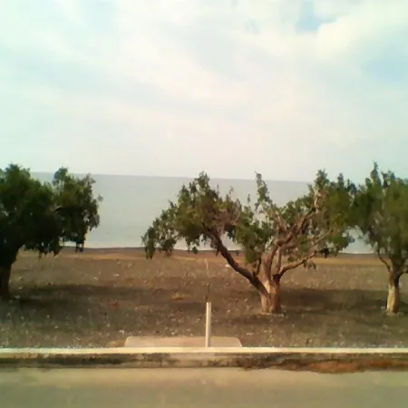 Apollon *